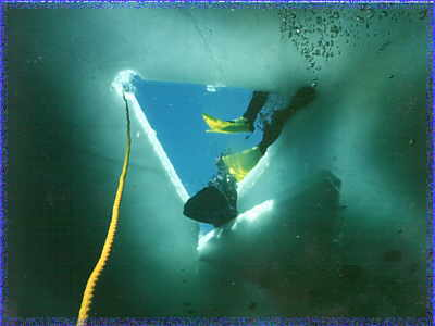 Click to view Ice Diving Pics